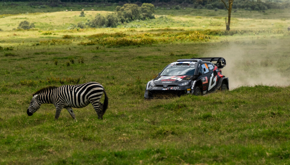 Ville dyr er bare en av mange ting VM-førerne må se opp for denne uken.